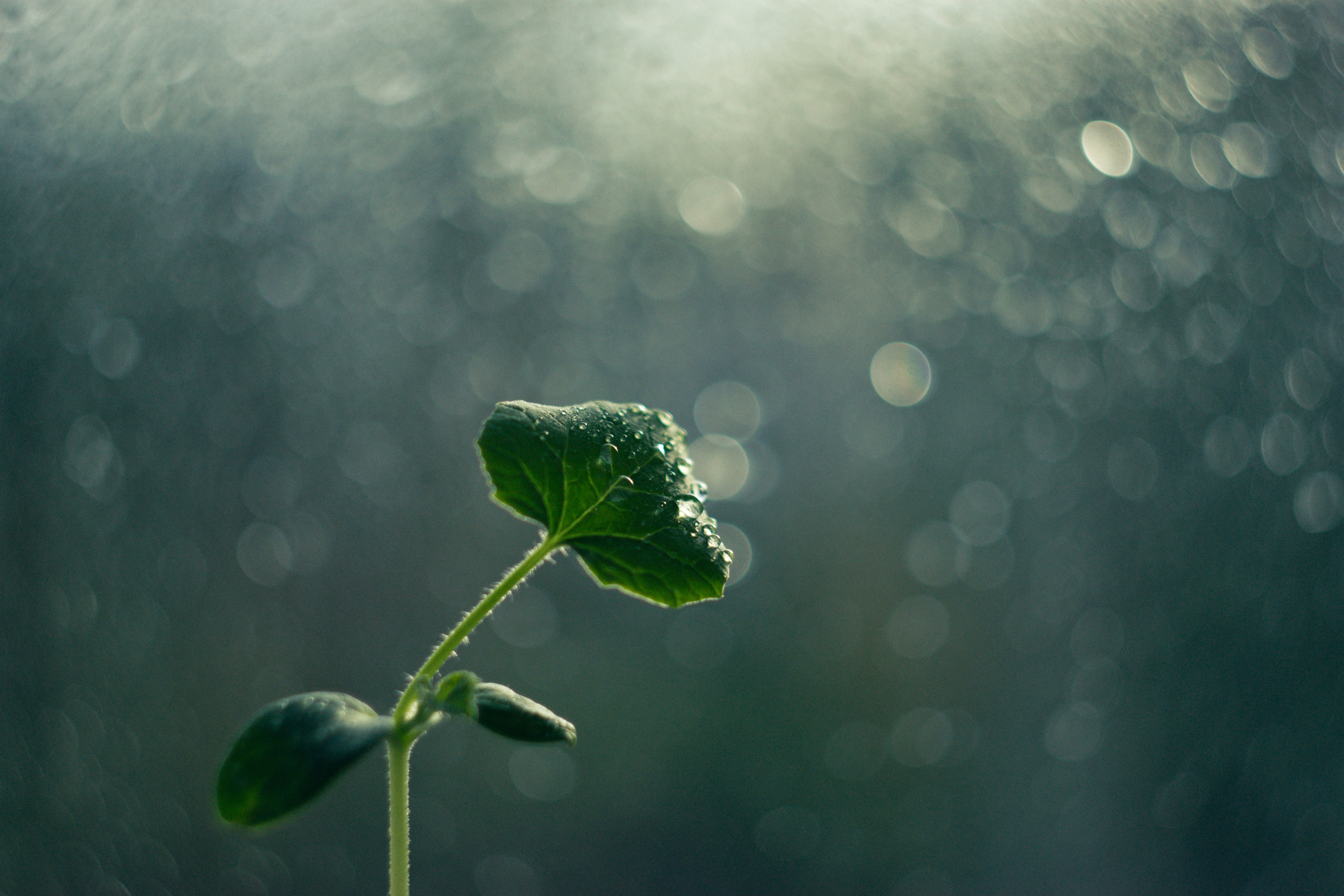 Solnedgång över stilla vatten